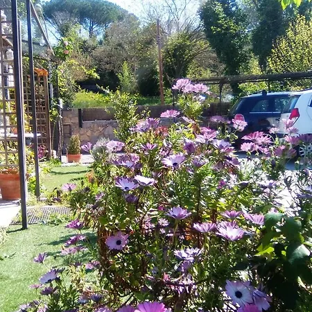 Appartamento Navicgirona Apart *